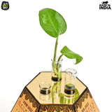 Load image into Gallery viewer, 4 Compartment Desk Organizer With Clock &amp; Calendar With Test Tube Planter Combo | Corporate Gift ‎Gift Kya De