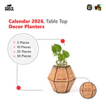 Test Tube Planter with Wooden Holder / Calendar 2026, Table Top Decor Planters | Hexagon Design | Corporate Gifts