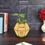 Load image into Gallery viewer, Customized Hexagonal Planter Calendar | Eco-Friendly Product | Corporate Gift