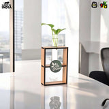 Load image into Gallery viewer, Eco-Friendly Test Tube Planter | Wooden MDF Stand | Indoor Desk Décor &amp; Gifting