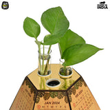 Load image into Gallery viewer, Test Tube Planter with Wooden Holder / Calendar 2024, Table Top Decor Planters | Hexagon Design | Corporate Gifts