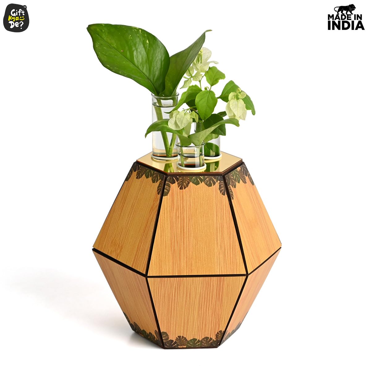 Test Tube Planter with Wooden Holder, Table Top Decor planters for Living Room Hexagon Design Corporate Gifts for Home/Office